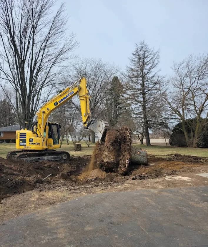 Komatsu excavator removing a large tree stump during land clearing